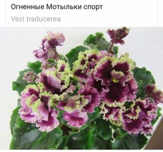 IMG-20170501-WA0211