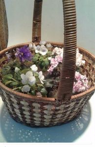 IMG-20170501-WA0206