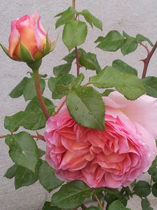 ; Abraham Darby
