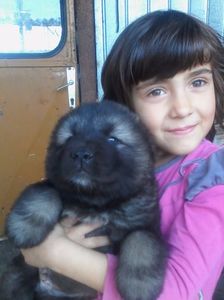 ; NUGRU &amp;MARIA
