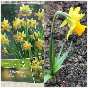 A iesit ce am plantat!