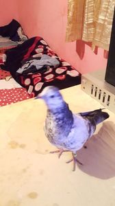 20170509_204538-1