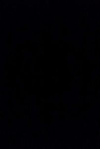 received_170489223473808