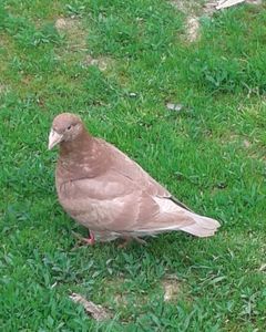20170513_123524-1
