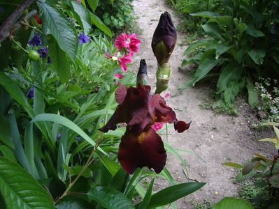 IMGP0388