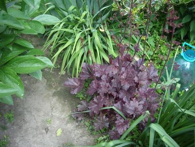IMGP0391