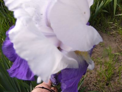 P1320415