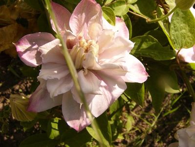 P1320425