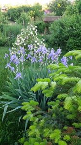 IMG-20170519-WA0005