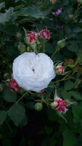IMG-20170519-WA0008