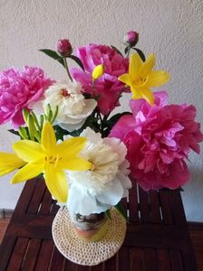 Bujori si hemerocalis