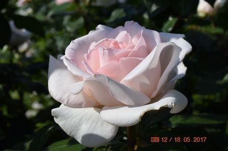92