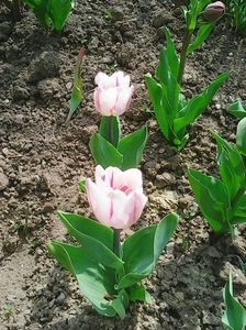 Photo0037