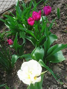 Photo0039