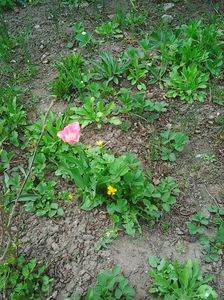 Photo0044