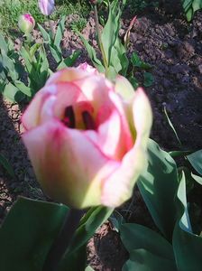 Photo0047