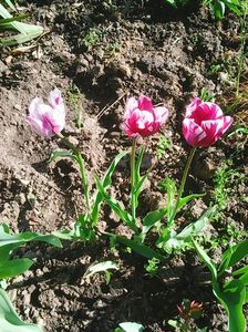 Photo0059
