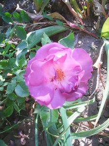 Photo0080