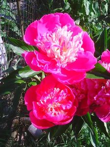 Photo0082