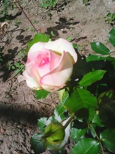 Photo0104