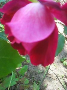 Photo0107