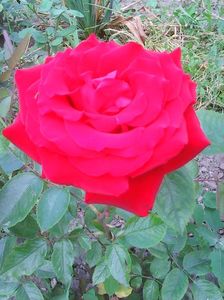 Photo0123
