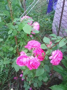 Photo0138