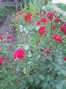 Photo0139