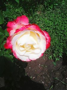 Photo0140
