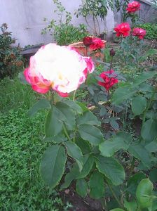 Photo0148
