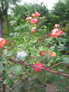 Photo0157