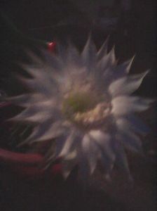 Photo0161