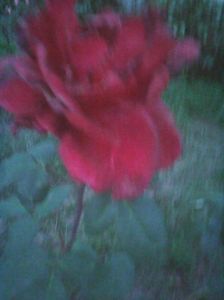 Photo0173