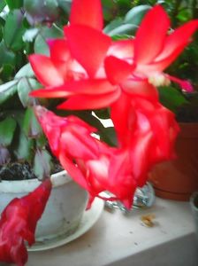 Photo0181