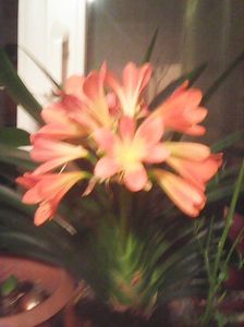 Photo0189