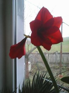 Photo0190