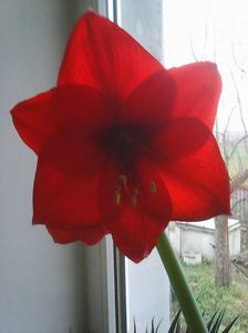 Photo0191