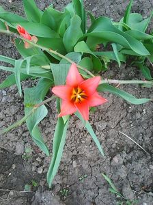 Photo0198