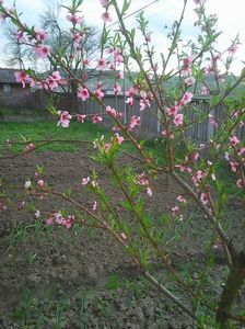 Photo0200