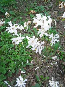 Photo0203