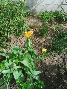 Photo0204