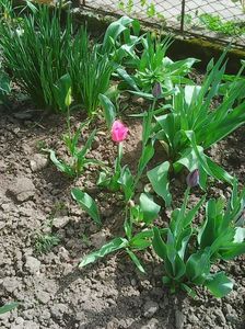 Photo0205
