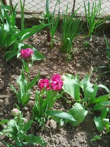 Photo0206