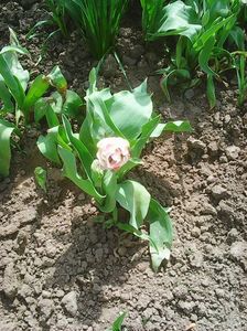 Photo0207