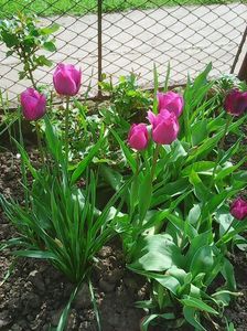 Photo0208
