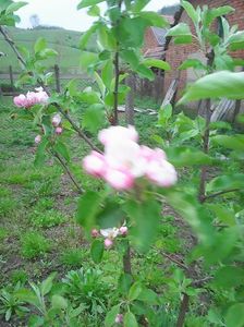 Photo0209