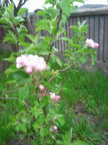 Photo0210