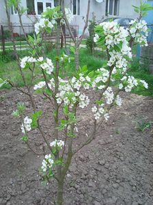 Photo0211