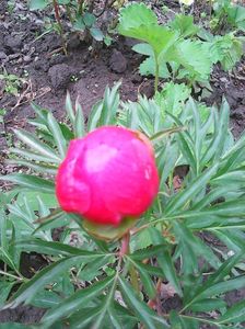 Photo0217