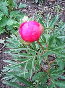 Photo0218